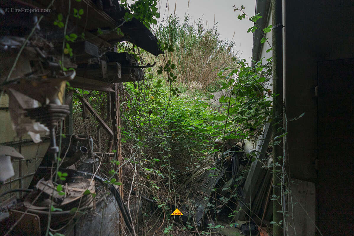 Commerce à CARCASSONNE