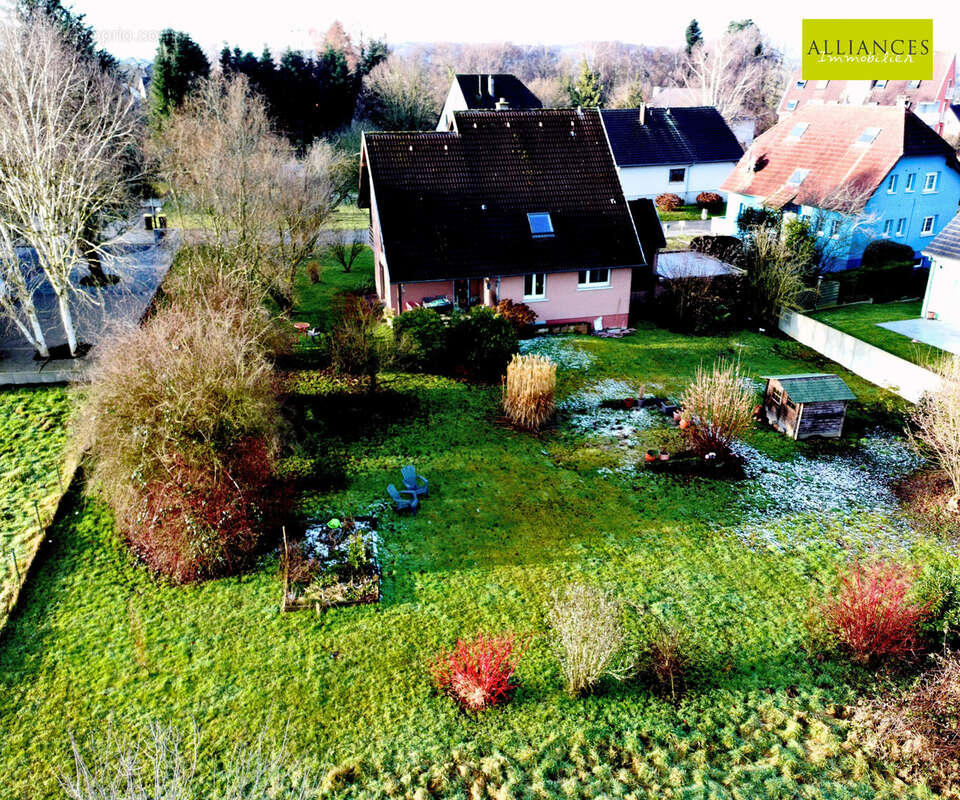 Maison à DANNEMARIE