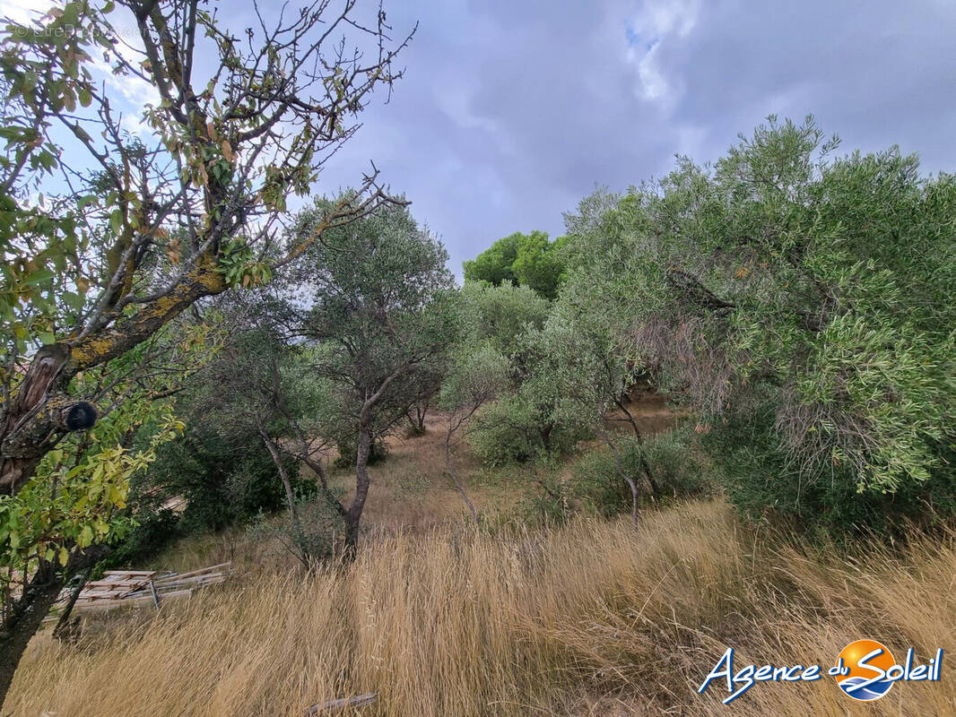 Terrain à LEZIGNAN-CORBIERES