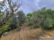 Terrain à LEZIGNAN-CORBIERES