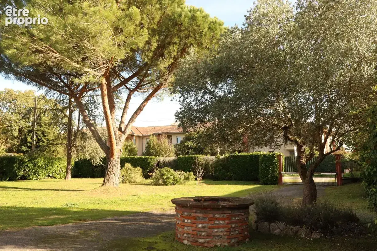 TOULOUSAINE avec piscine et dépendance - photo 4