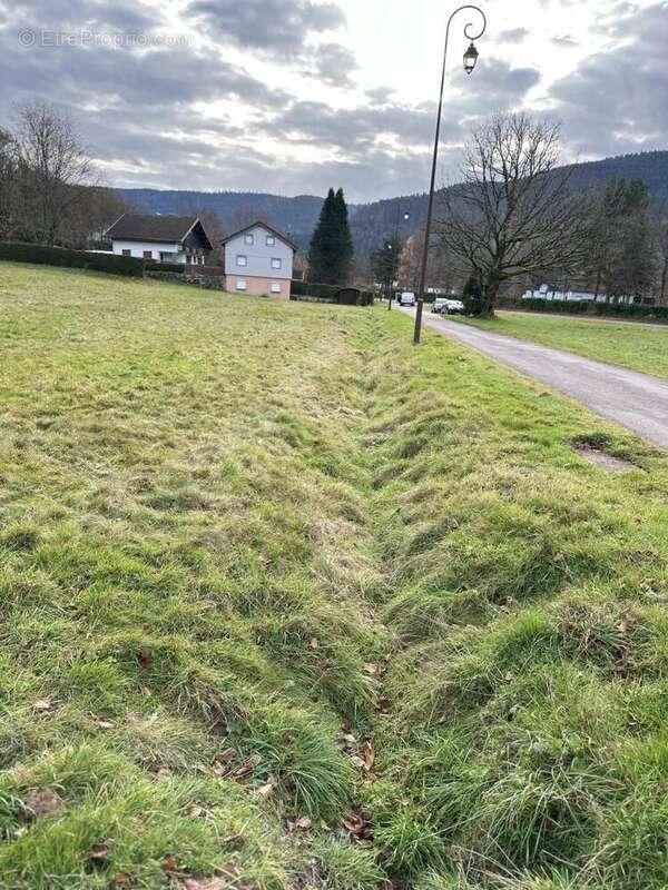 IMG_7711 - Terrain à SAULXURES-SUR-MOSELOTTE