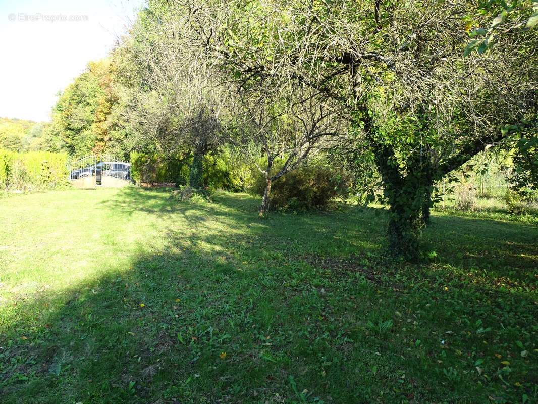 Maison à MUSSY-SUR-SEINE