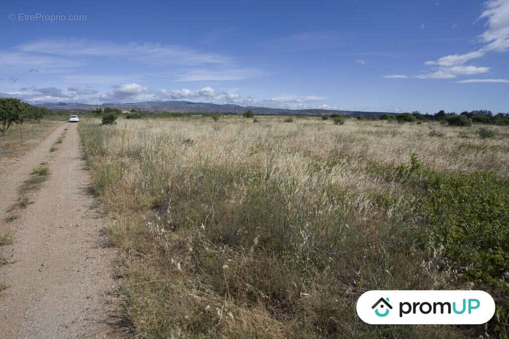 Terrain à SAINT-HIPPOLYTE