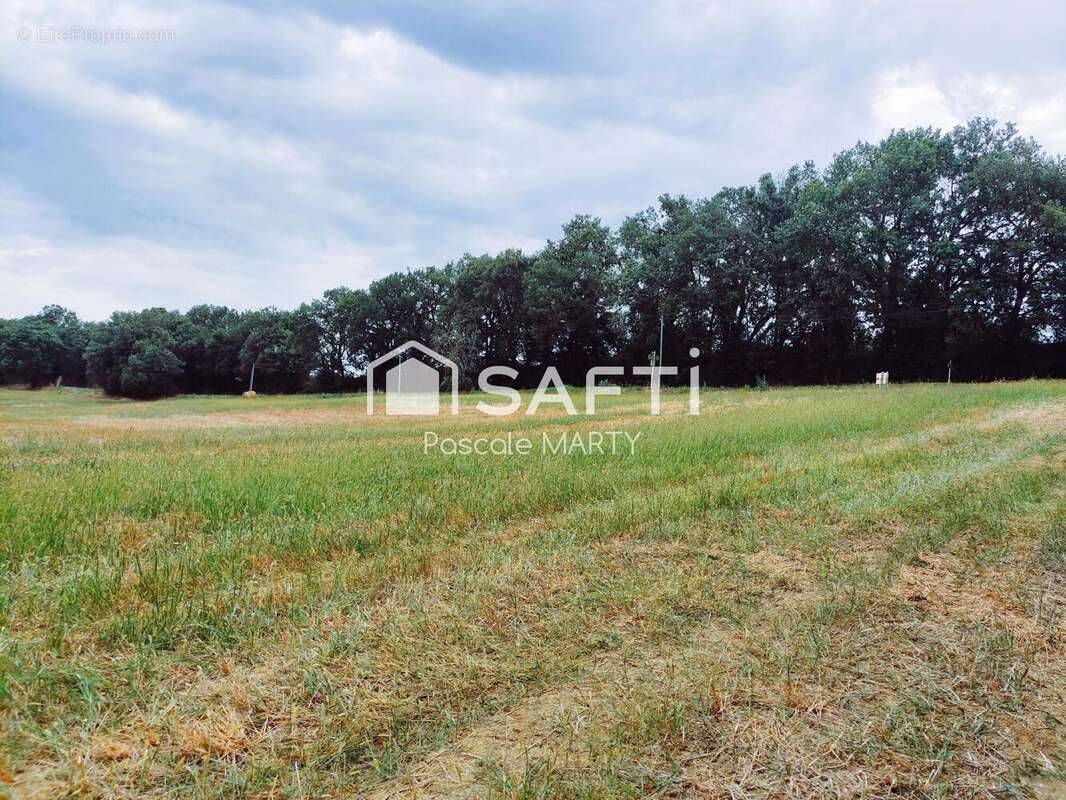 Photo 2 - Terrain à MONTJOIRE