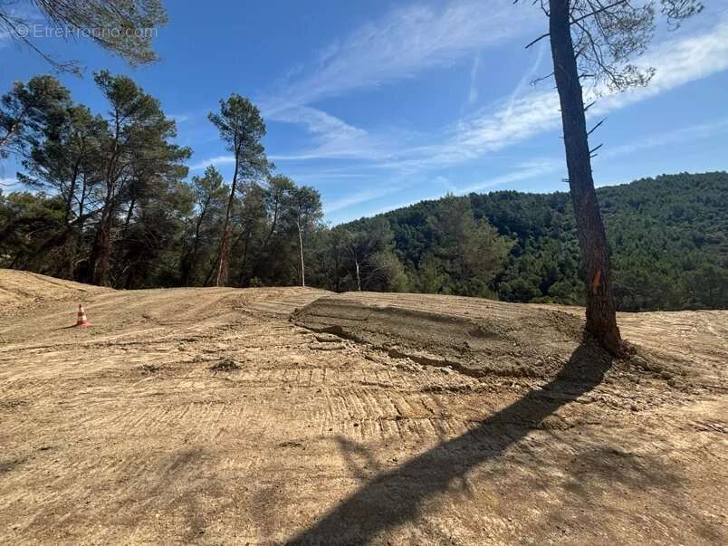 Figanières – terrain agricole et forestier de plus de 9 hectares - photo 14