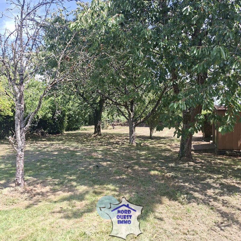 Maison avec grand terrain, dépendance et verger - photo 18