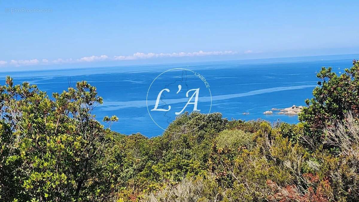 Terrain loisirs 6 679 m² vue mer Ajaccio Castagna Capo di Muro (Se Loger) - photo 2