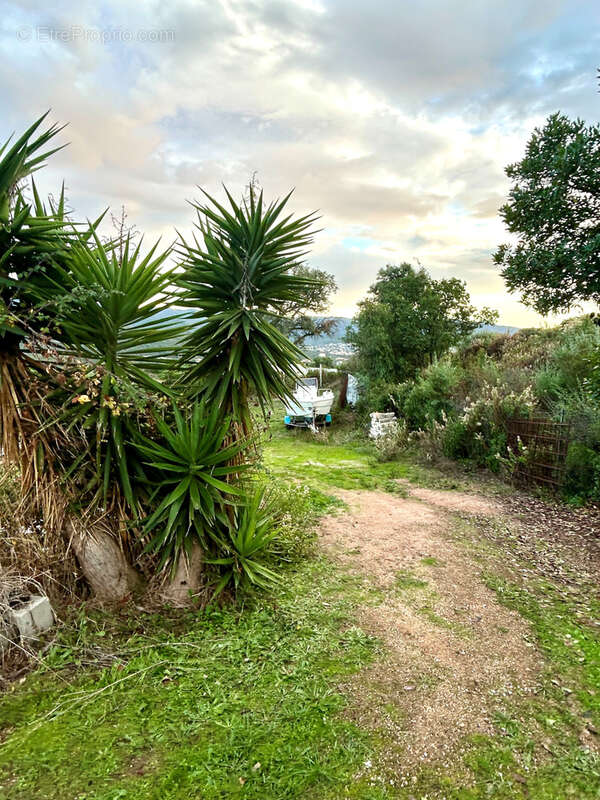 Maison à GROSSETO-PRUGNA