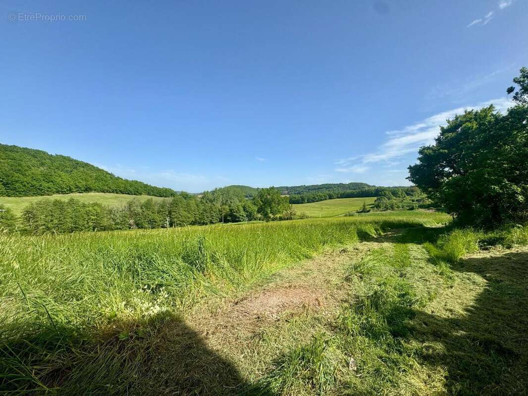 Photo 3 - Maison à HAUTEFAGE-LA-TOUR