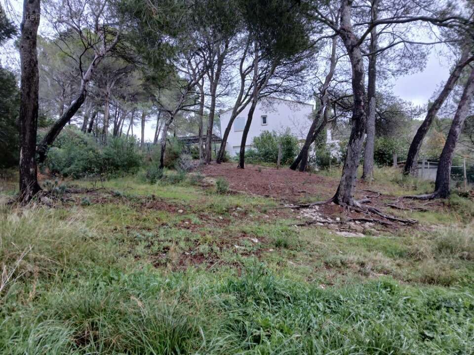 Terrain à VENTABREN