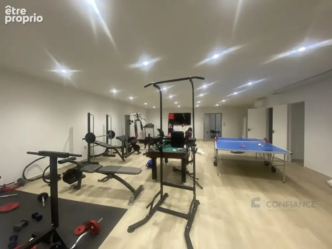 Maison 450 m² à Villeurbanne  - photo 8