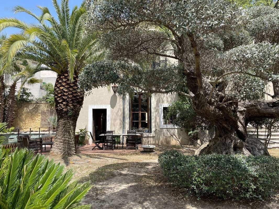 Photo 9 - Maison à ABEILHAN