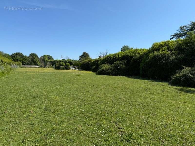 Maison de maître 180 m² – 5 chambres – Terrain 9 082 m² – EXCLUSIVITÉ – Montsûrs - photo 10