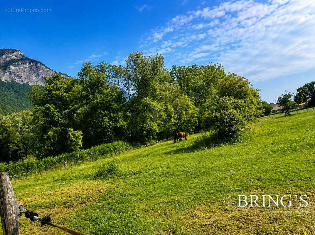Terrain 742 m² à Lumbin  - photo 3