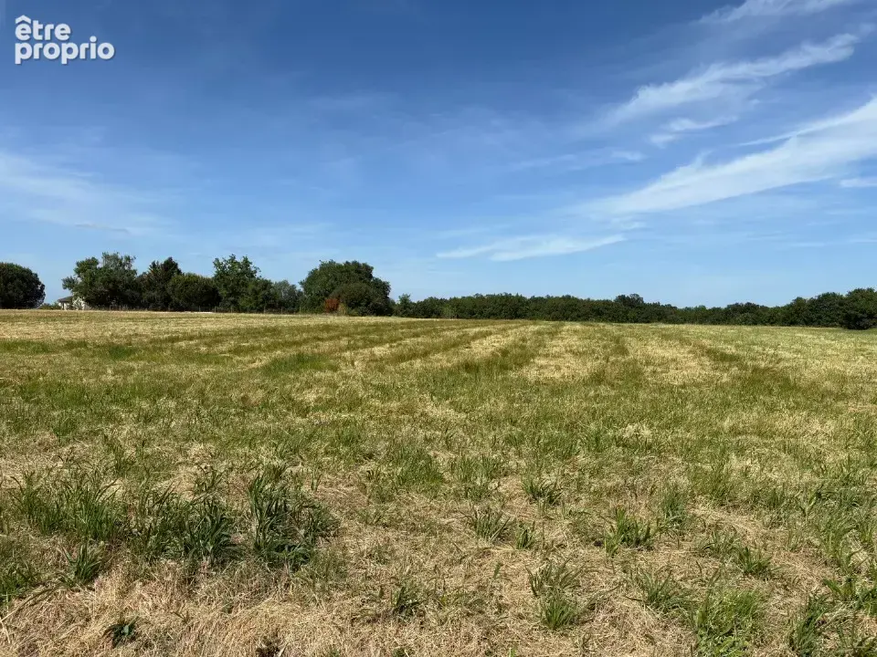 Terrain 550 m² à vendre à Paulhac (31380) - photo 2