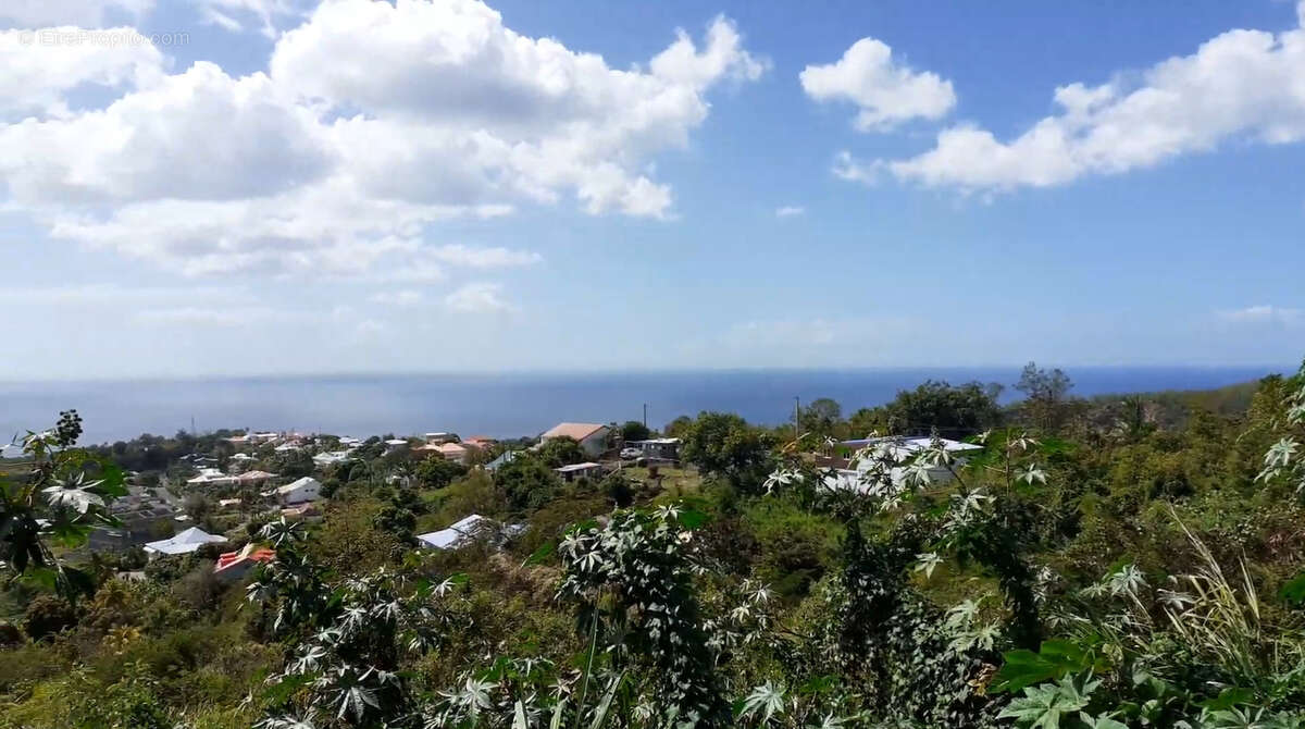 Terrain à VIEUX-HABITANTS