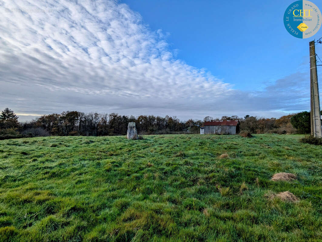 Terrain à bâtir hors lotissement à MONTENEUF - photo 8