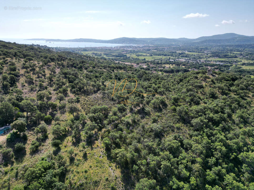 Terrain avec PC purgé - photo 6