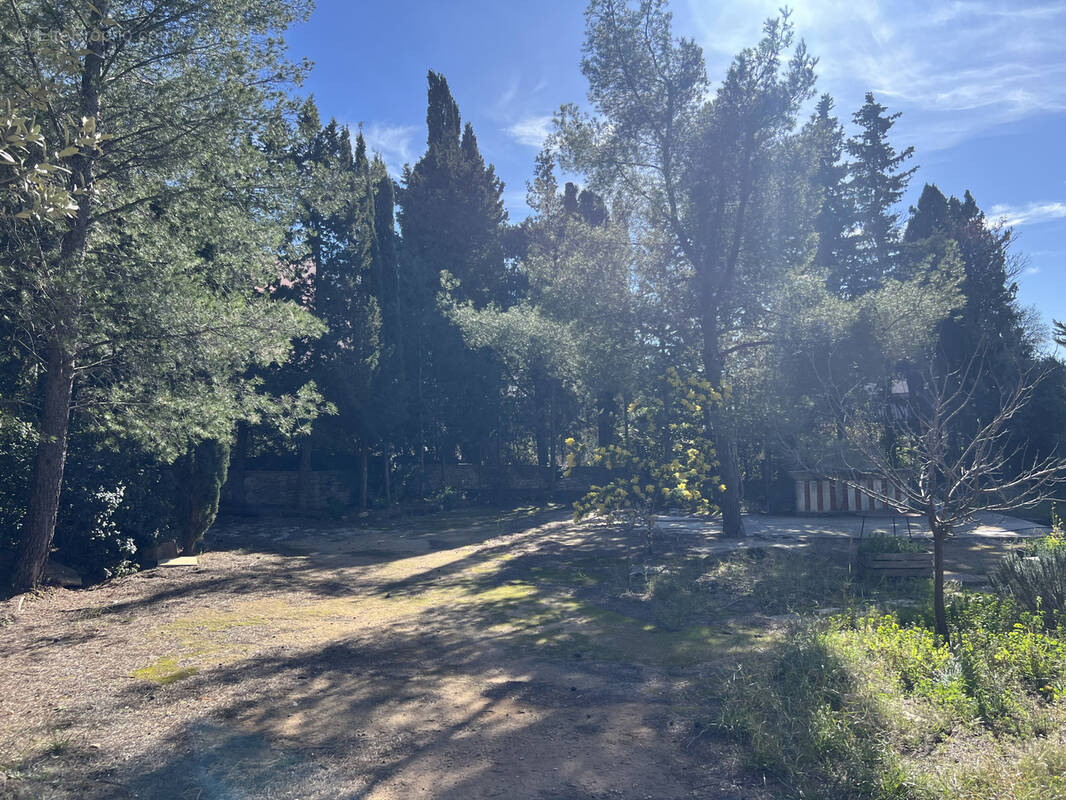 Terrain à LA CIOTAT