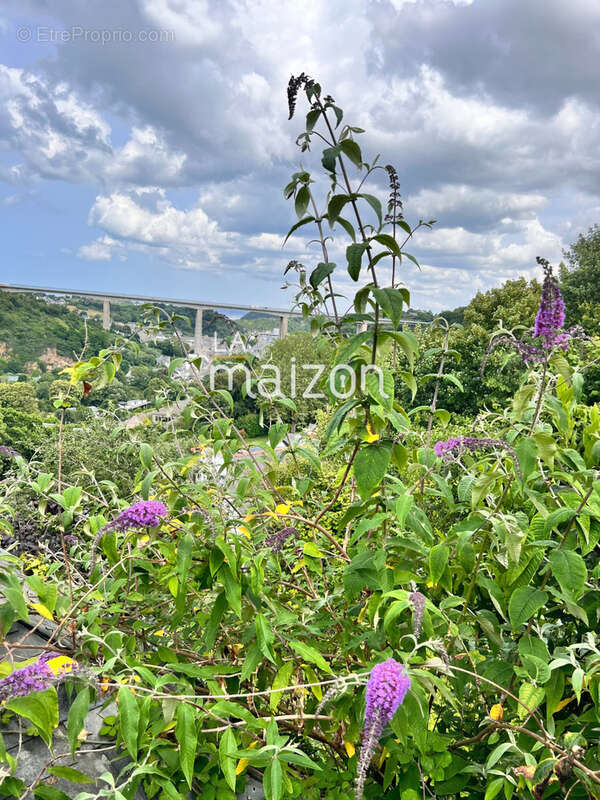 Appartement à SAINT-BRIEUC