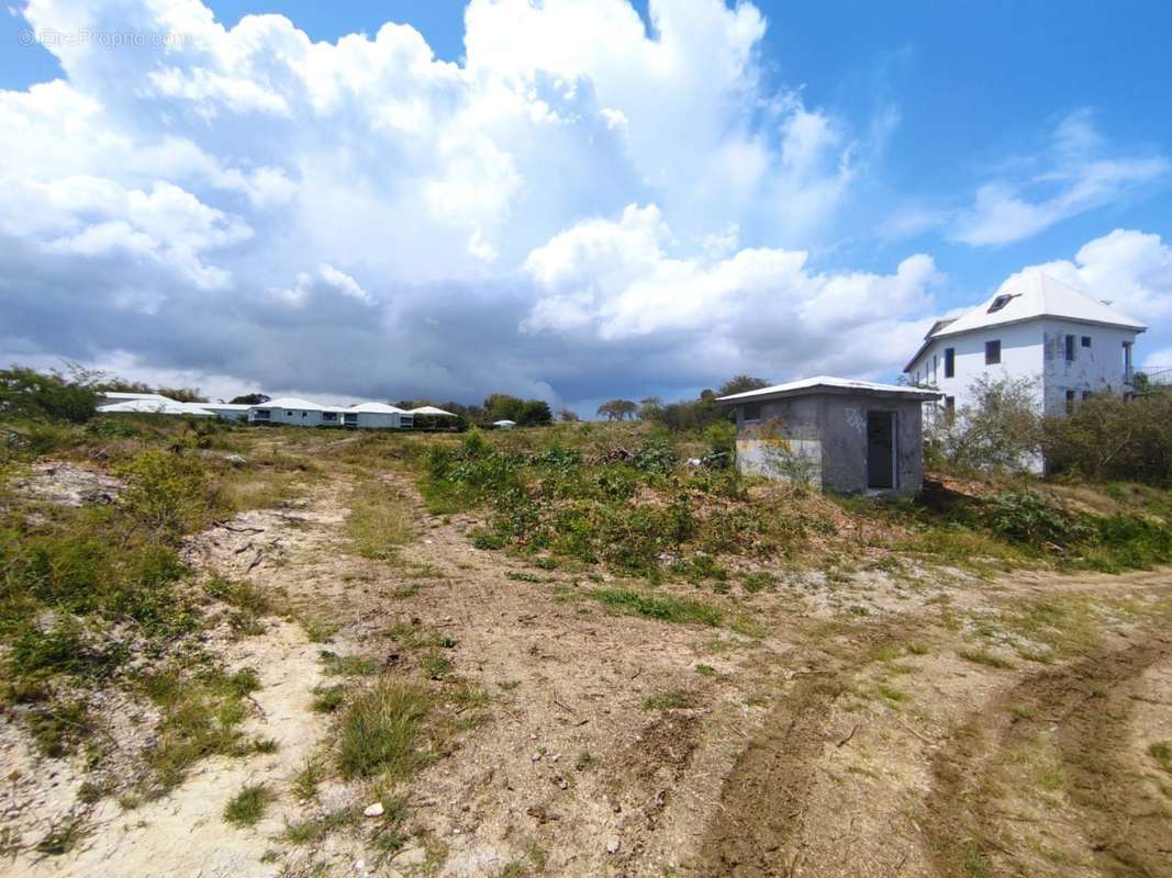 Terrain à SAINTE-ANNE