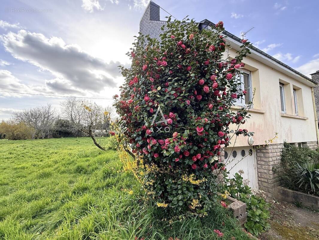 Maison à QUERRIEN