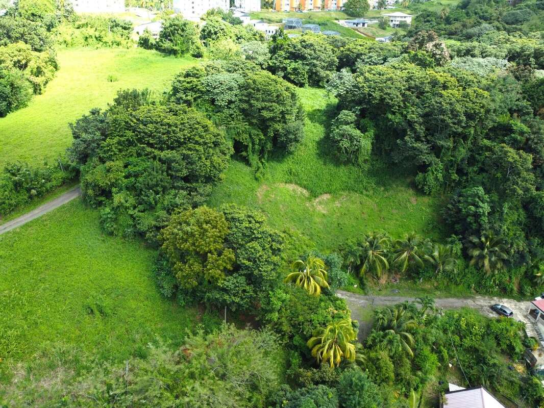 Terrain à RIVIERE-SALEE