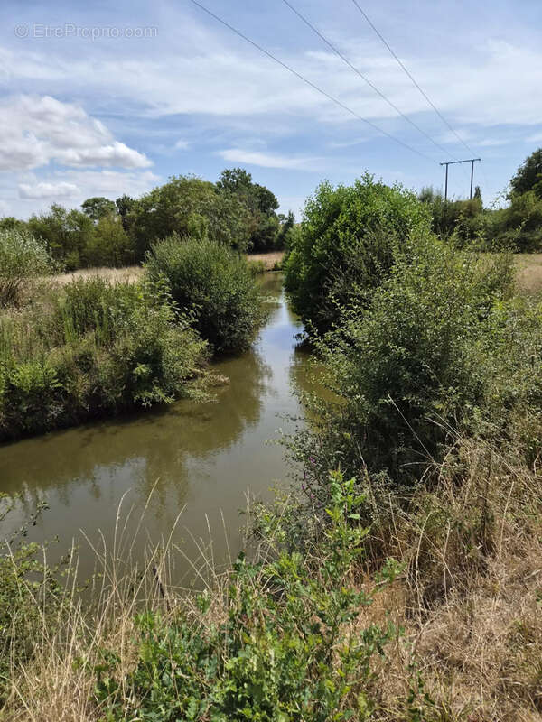 Givrand à 5mn des plages et des centres villes, terrain de loisir longeant la rivière avec étang - photo 5