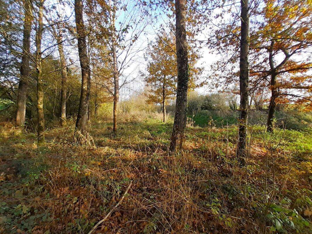 Terrain à CHATEAUBRIANT