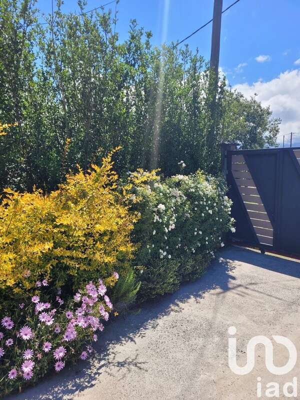 Photo 4 - Maison à SAINT-PIERRE