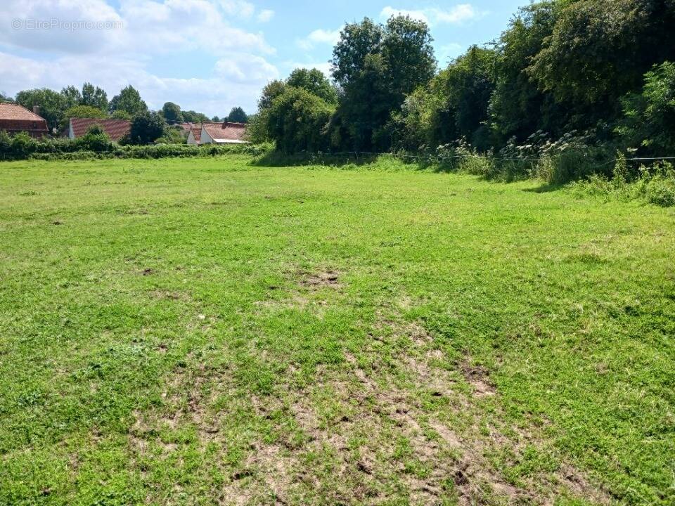 Terrain à ESCOEUILLES