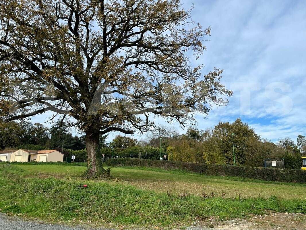 IMG-20251129-WA0005 - Terrain à MOUCHAMPS