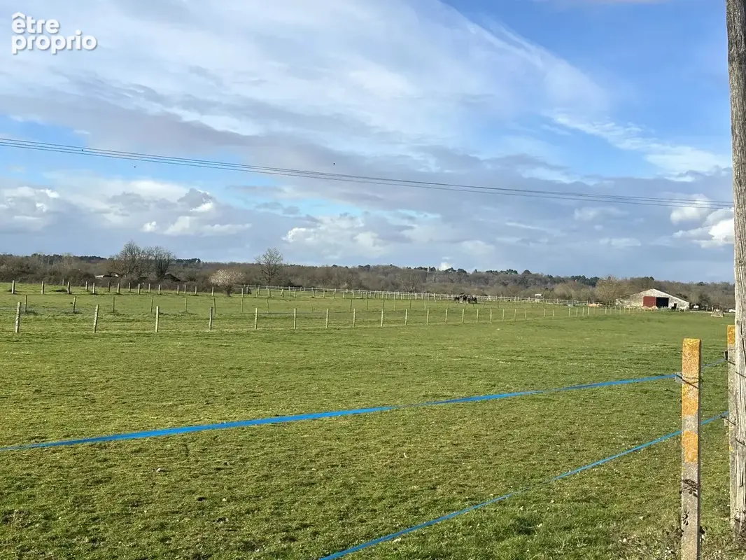 Superbe propriété équestre avec Maison de Maître, deux annexes, trois écuries, au milieu de 25ha de terres, entre Bordeaux et Be - photo 16