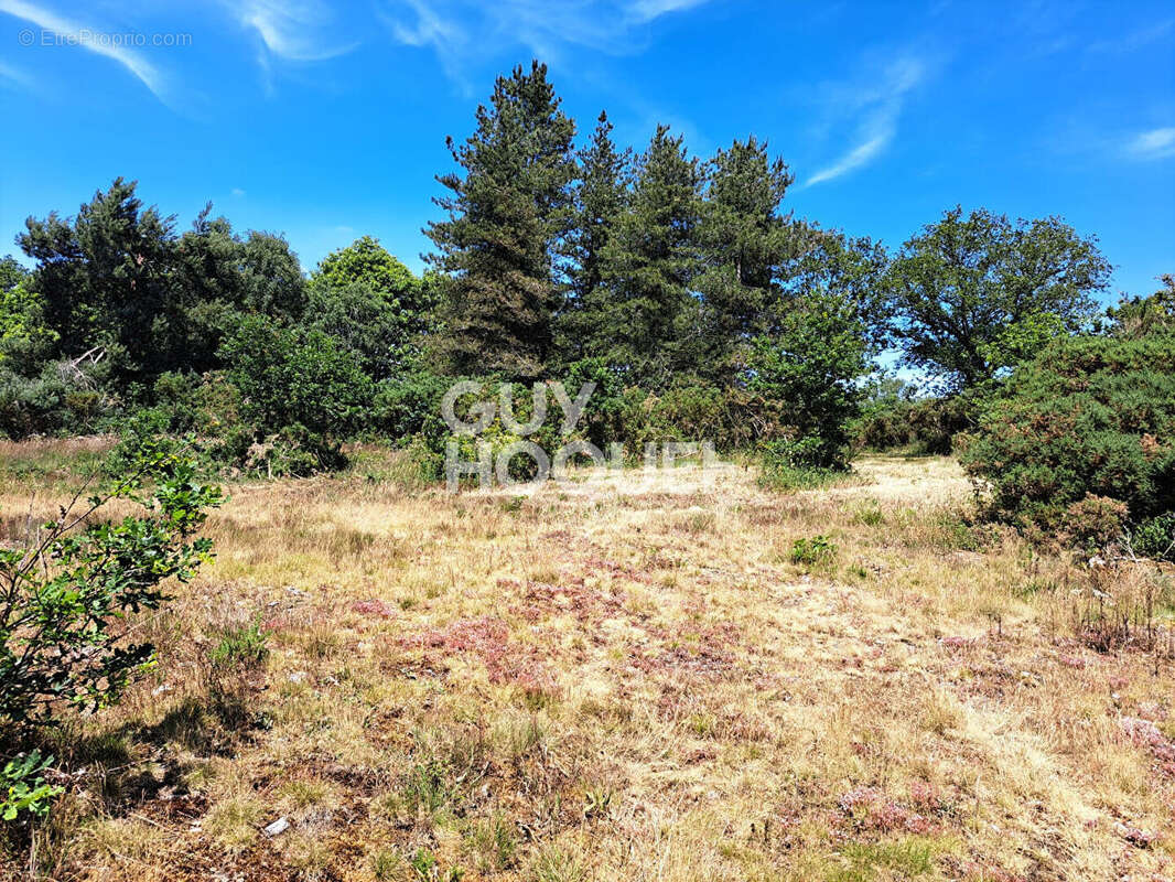 Terrain à CAMPENEAC