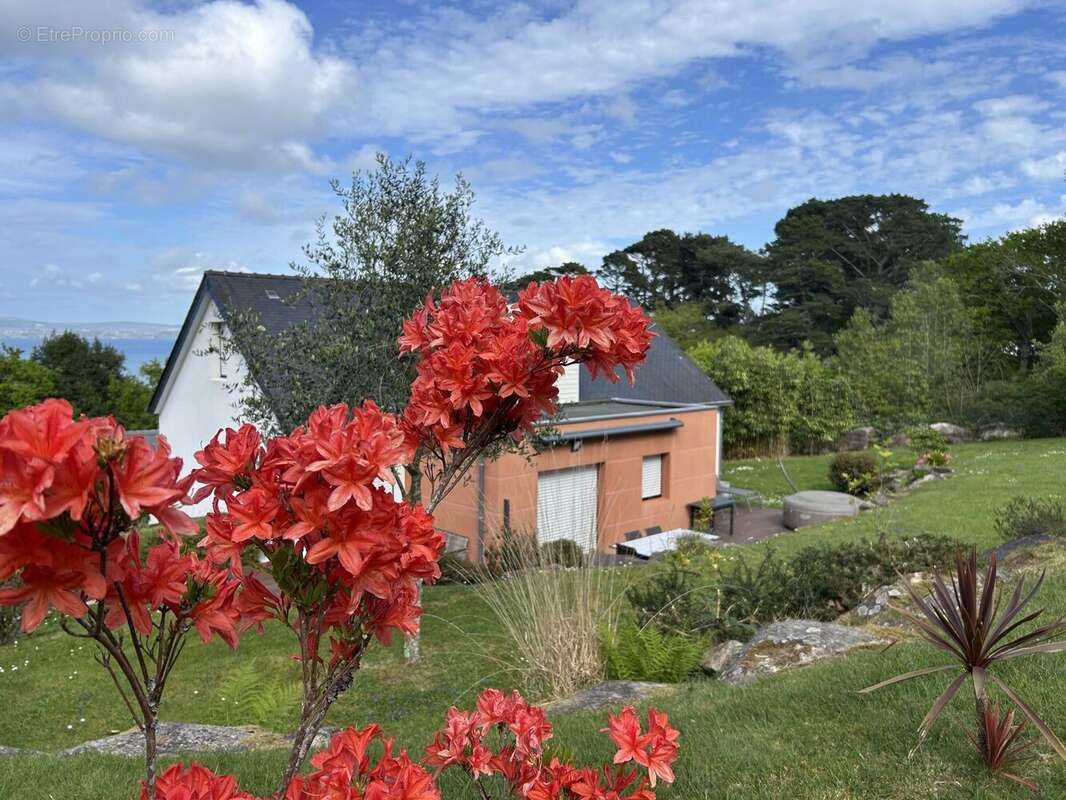 Maison à DOUARNENEZ