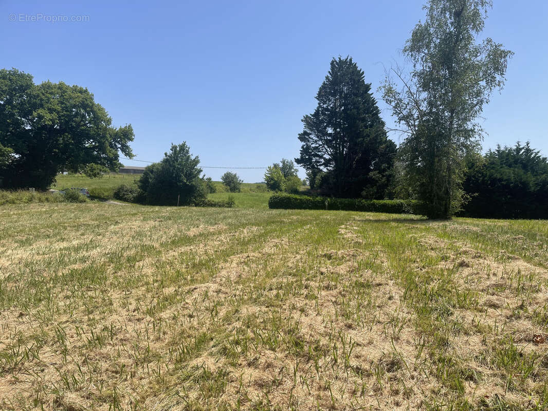 Terrain à SALIES-DE-BEARN