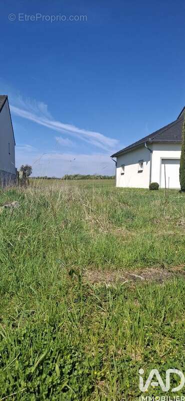 Photo 6 - Terrain à DIEBLING