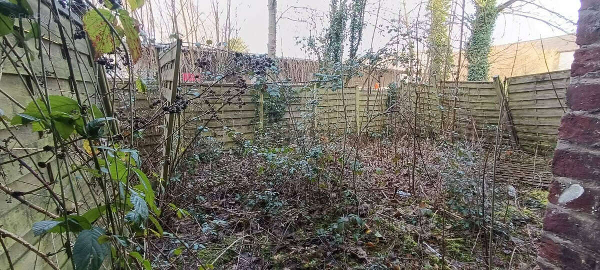 Maison à CALONNE-RICOUART