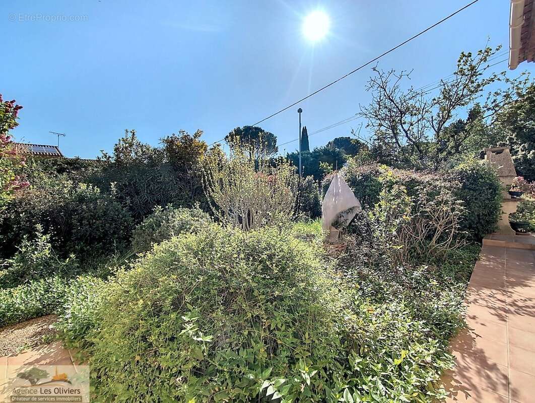 Maison à SAINT-GEORGES-D'ORQUES