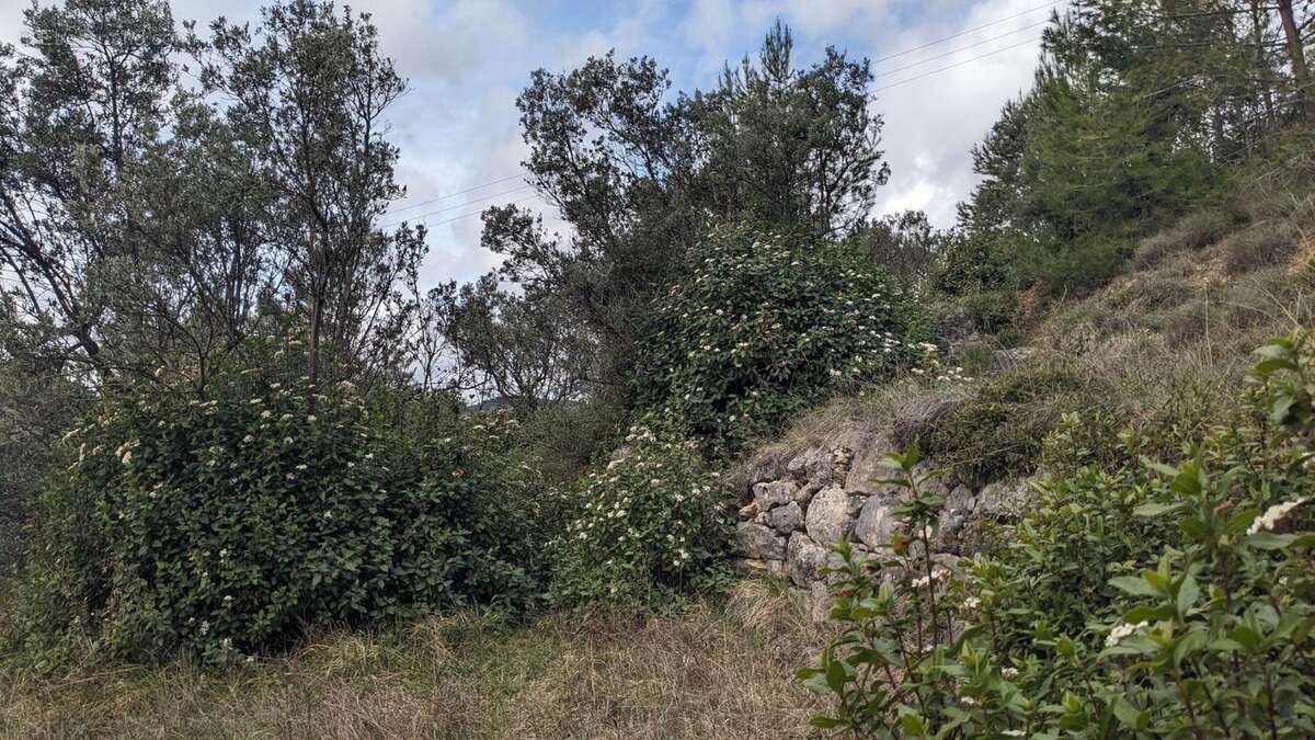 Terrain à CLAVIERS