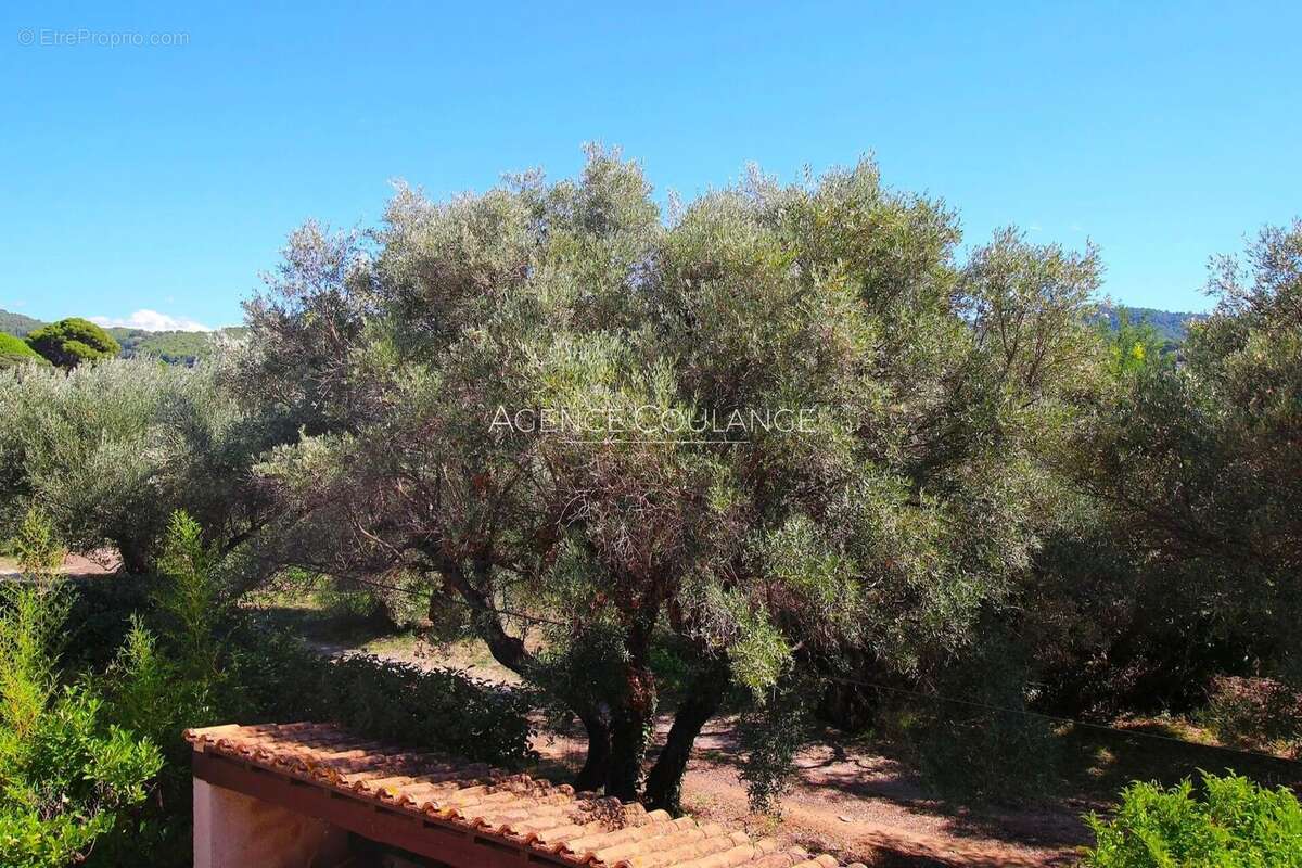 Maison à SAINT-CYR-SUR-MER