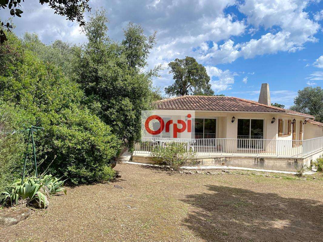 Maison à PORTO-VECCHIO