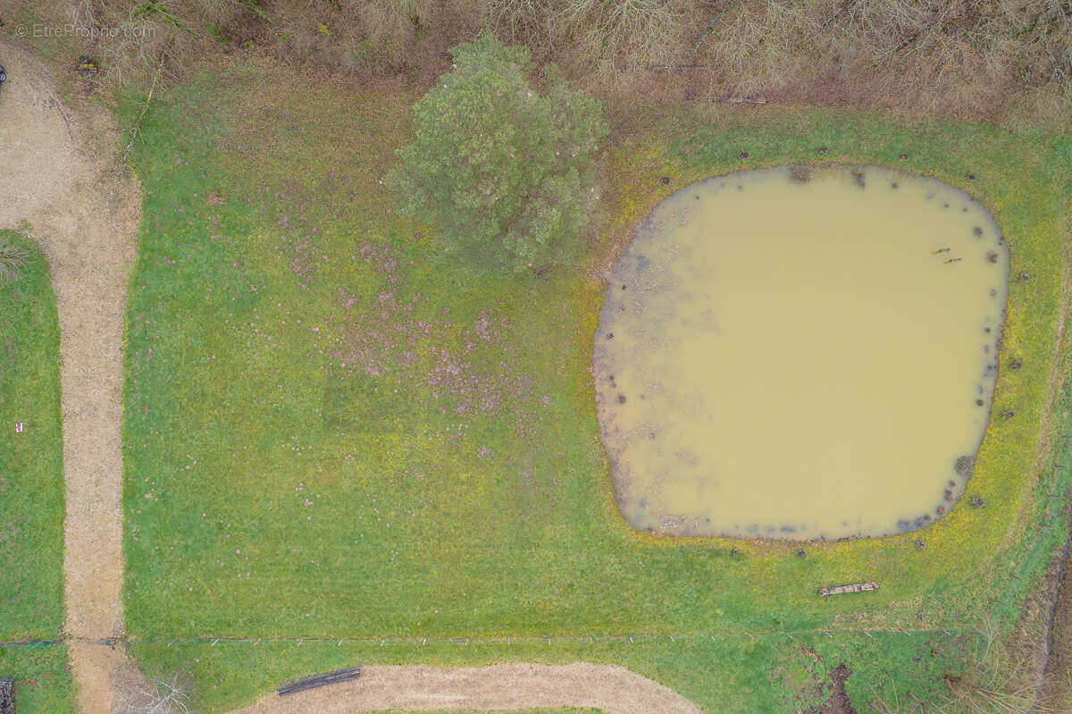 Terrain constructible - Thenioux, avec un étang - 4322 m²  - - photo 6