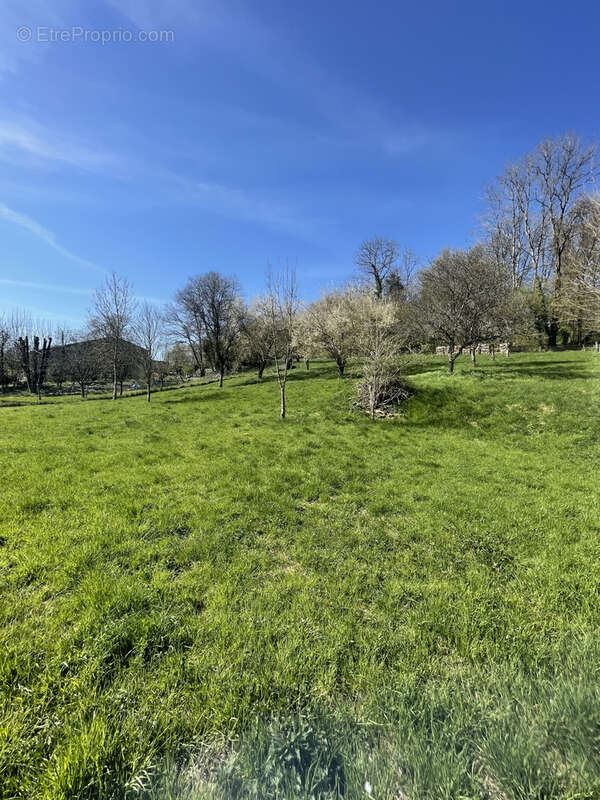 Terrain à RAIVAL