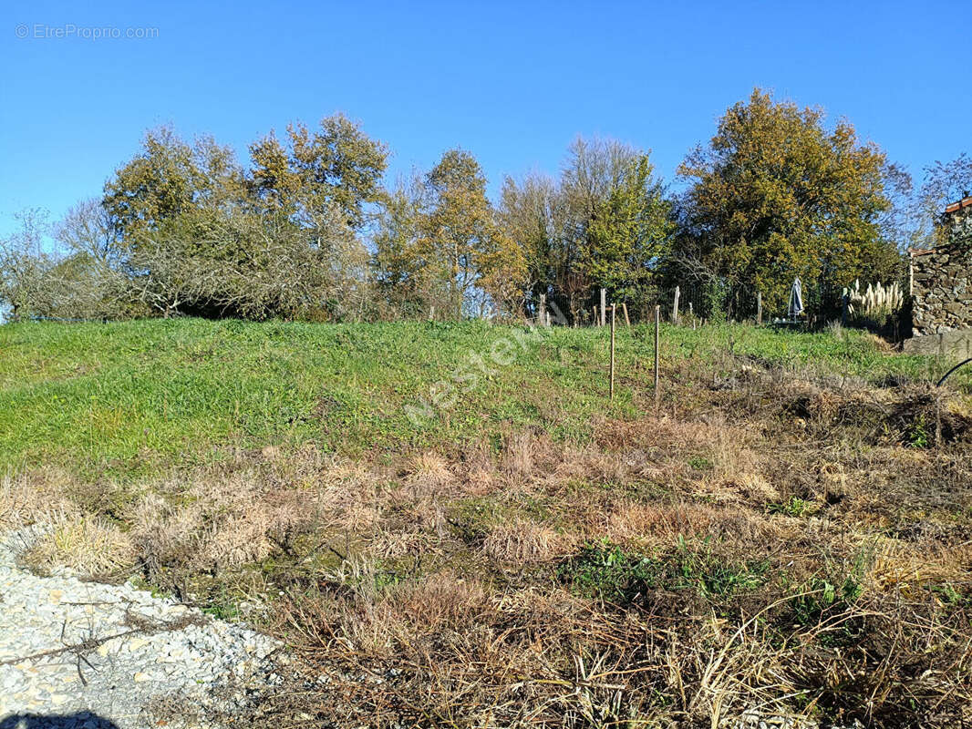 Terrain à VALLET