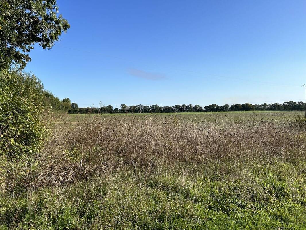 Terrain à CIRE-D&#039;AUNIS