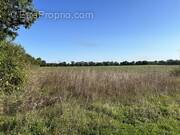 Terrain à CIRE-D&#039;AUNIS