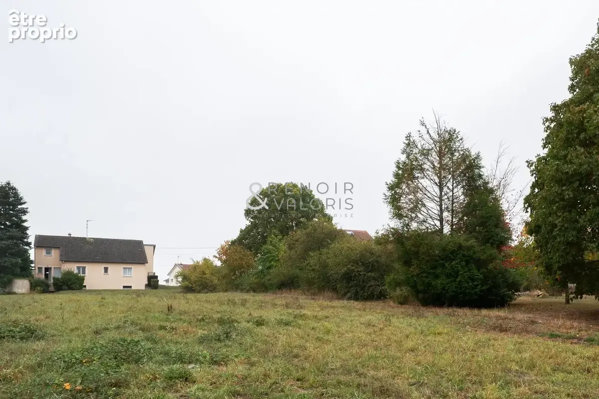Maison 7 pièces 212 m² à vendre à Dombasle-Sur-Meurthe (54110) - photo 2