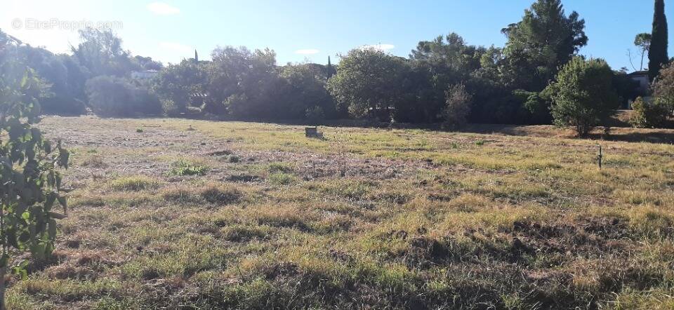 Terrain à BAGNOLS-EN-FORET